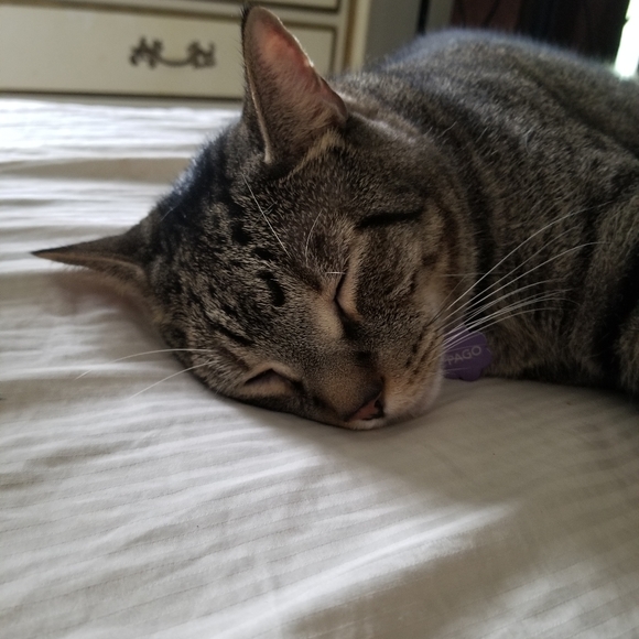 HUGE SALE HUGE SALE HUGE SALE - Picture 6 of 8